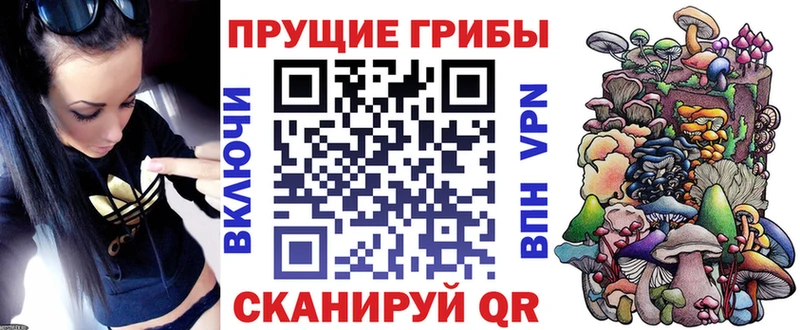 продажа наркотиков  Ртищево  мориарти официальный сайт  Псилоцибиновые грибы мицелий 