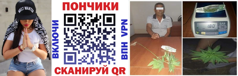 Бошки Шишки тримм  даркнет сайт  Ртищево 